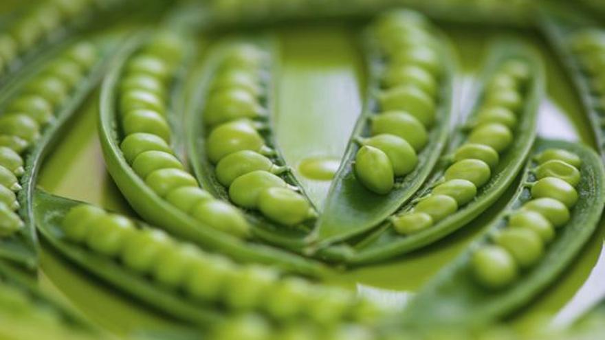 Las judias verdes son una importante fuente de antioxidantes.