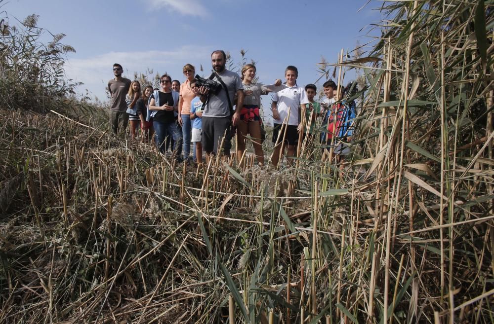 El Oceanogràfic suelta diez galápagos en la Albufera