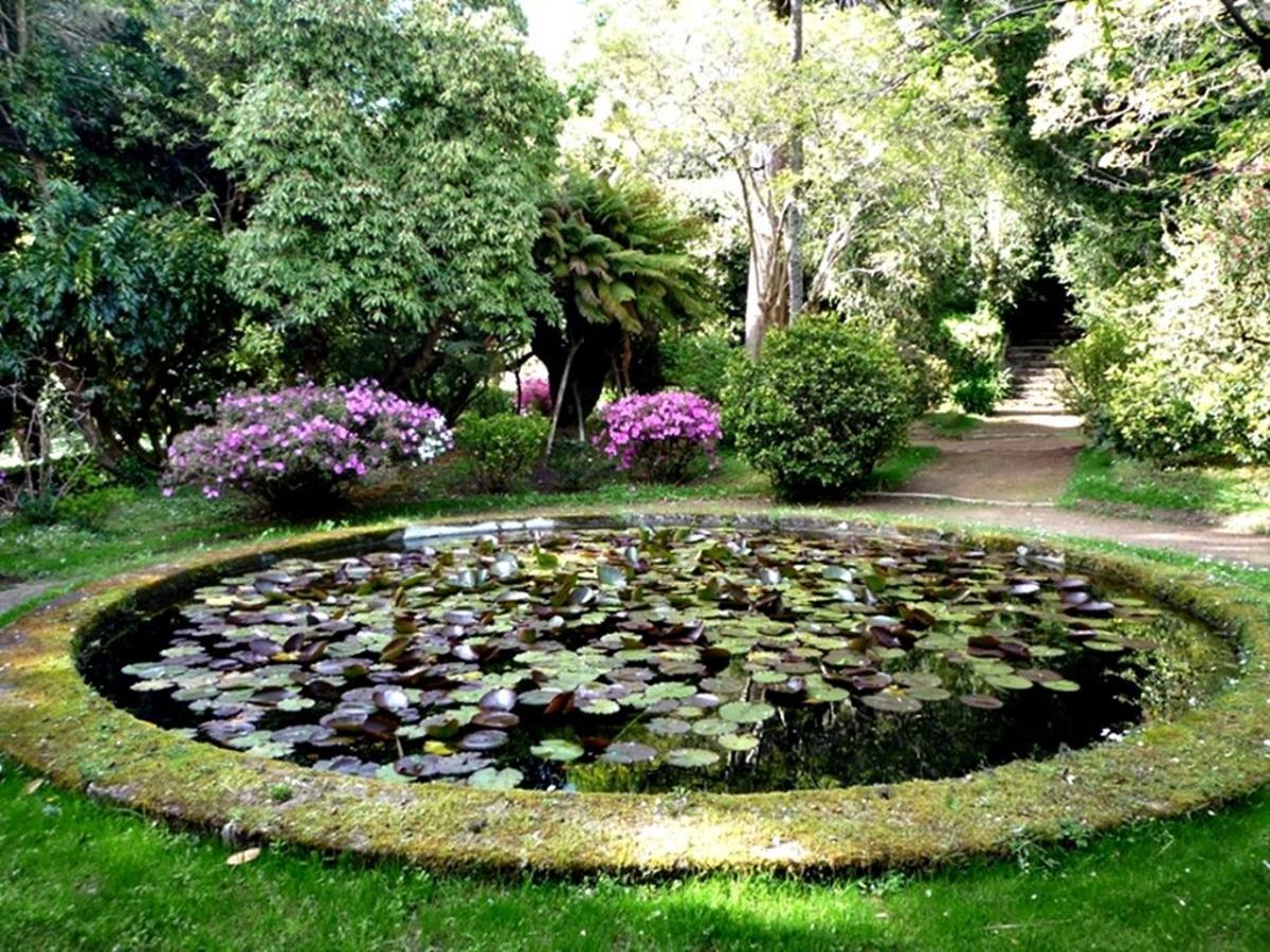 O estanque redondo do pazo de Santa Cruz de Rivadulla