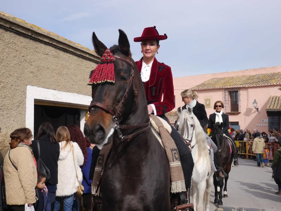 Fiesta de Sant Antoni Abad de Vera