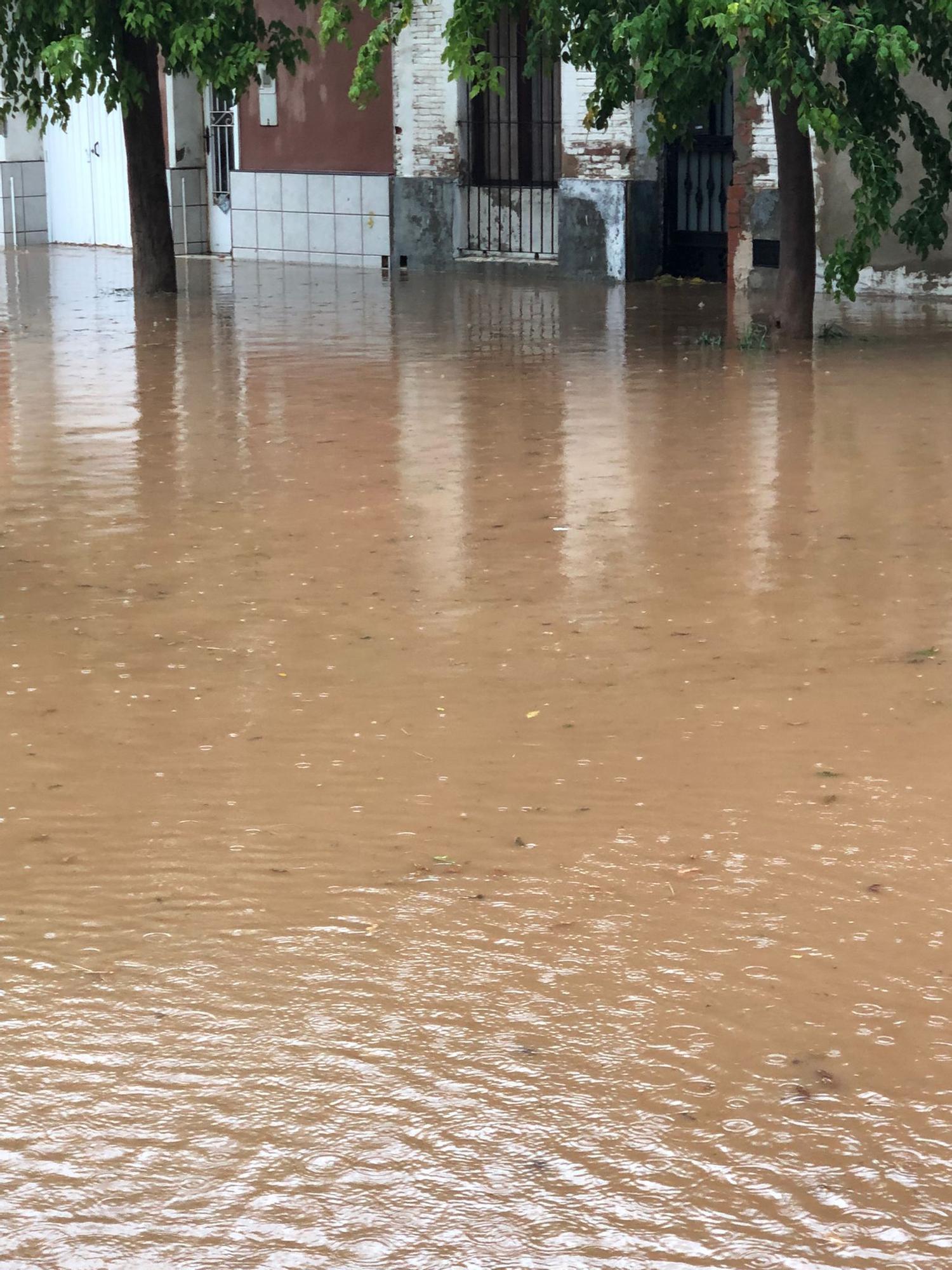 Galería: Los efectos del temporal en los municipios de Castellón