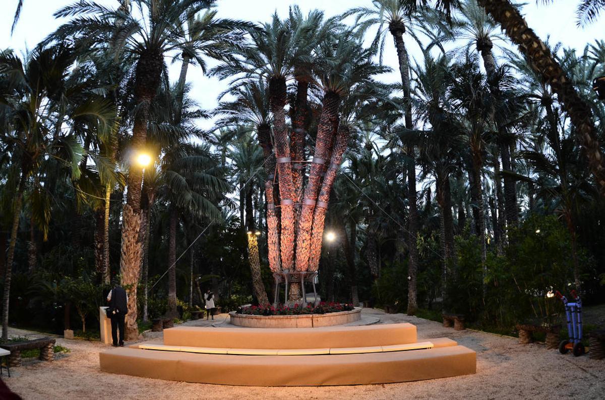 La Palmera Imperial de Elche, en imagen de archivo.