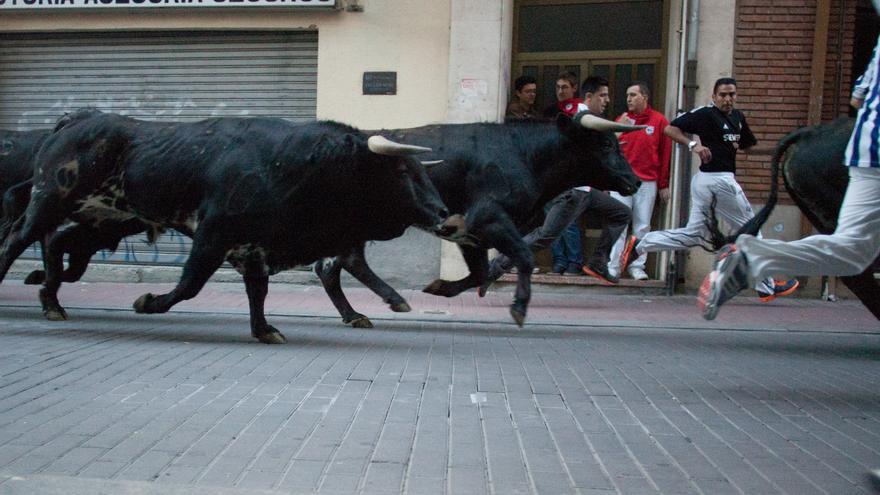 Consulta aquí lo que puedes hacer en las fiestas de los pueblos de Zamora