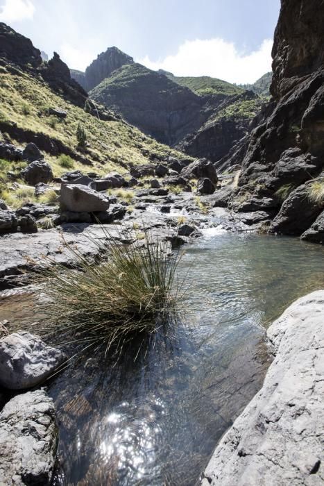 GRAN CANARIA