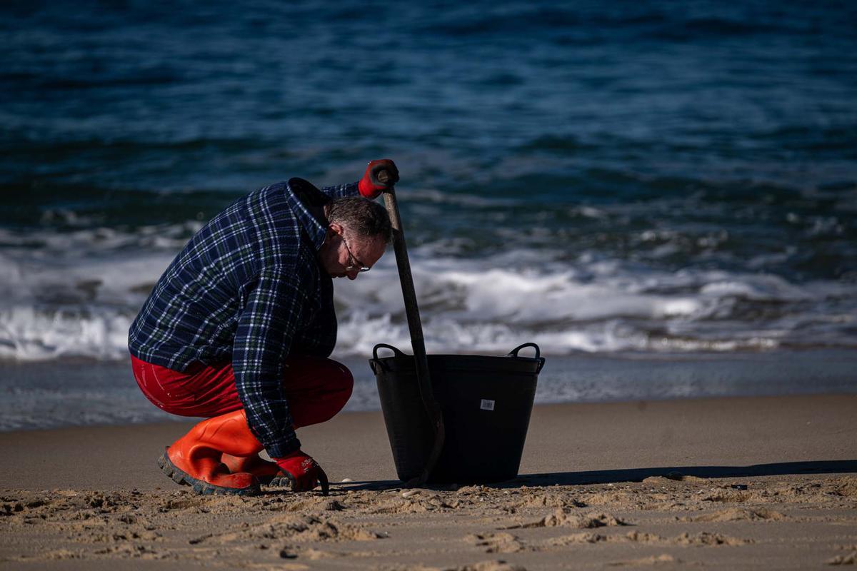 Contaminación marina por el vertido de pellets en la costa gallega