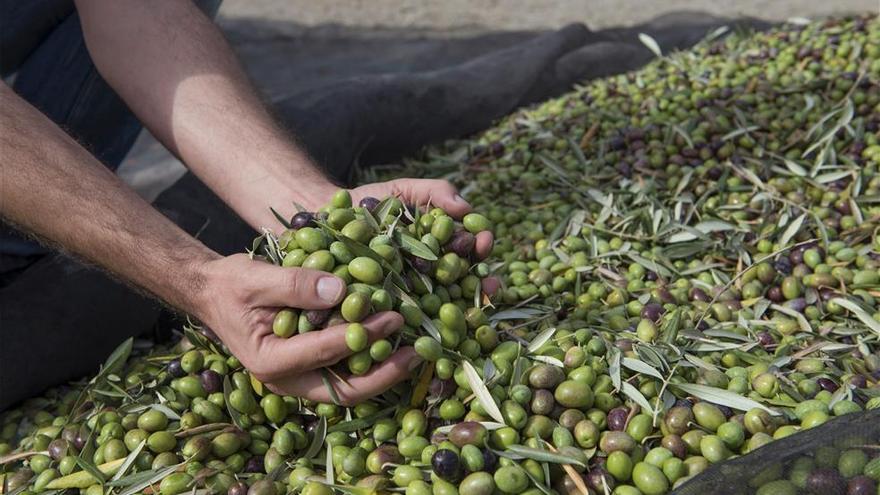 Los agricultores extremeños reciben 27 millones de las ayudas directas