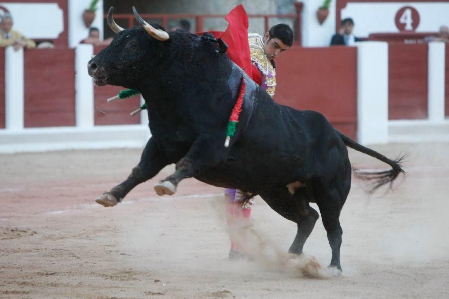 Toros en Zamora