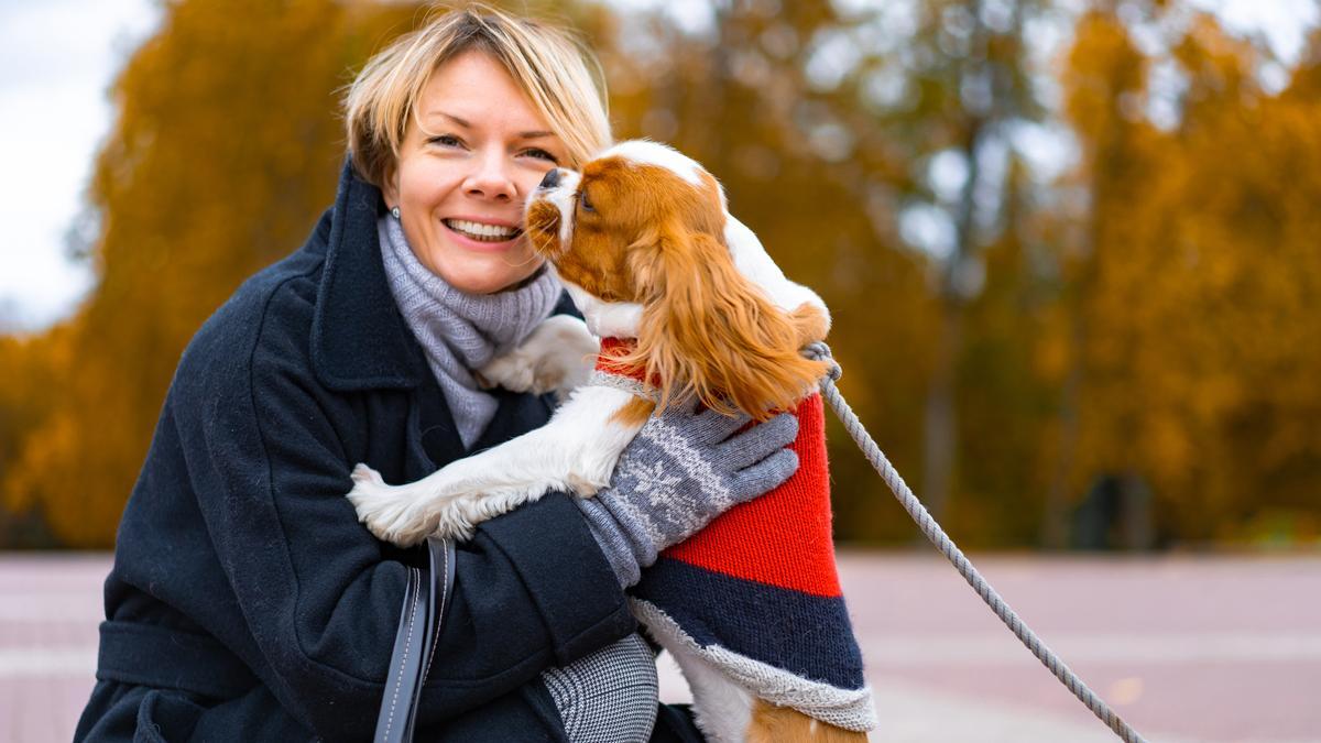 Tu perro se olvidará de lo que es sentir el frío con este abrigo y chubasquero