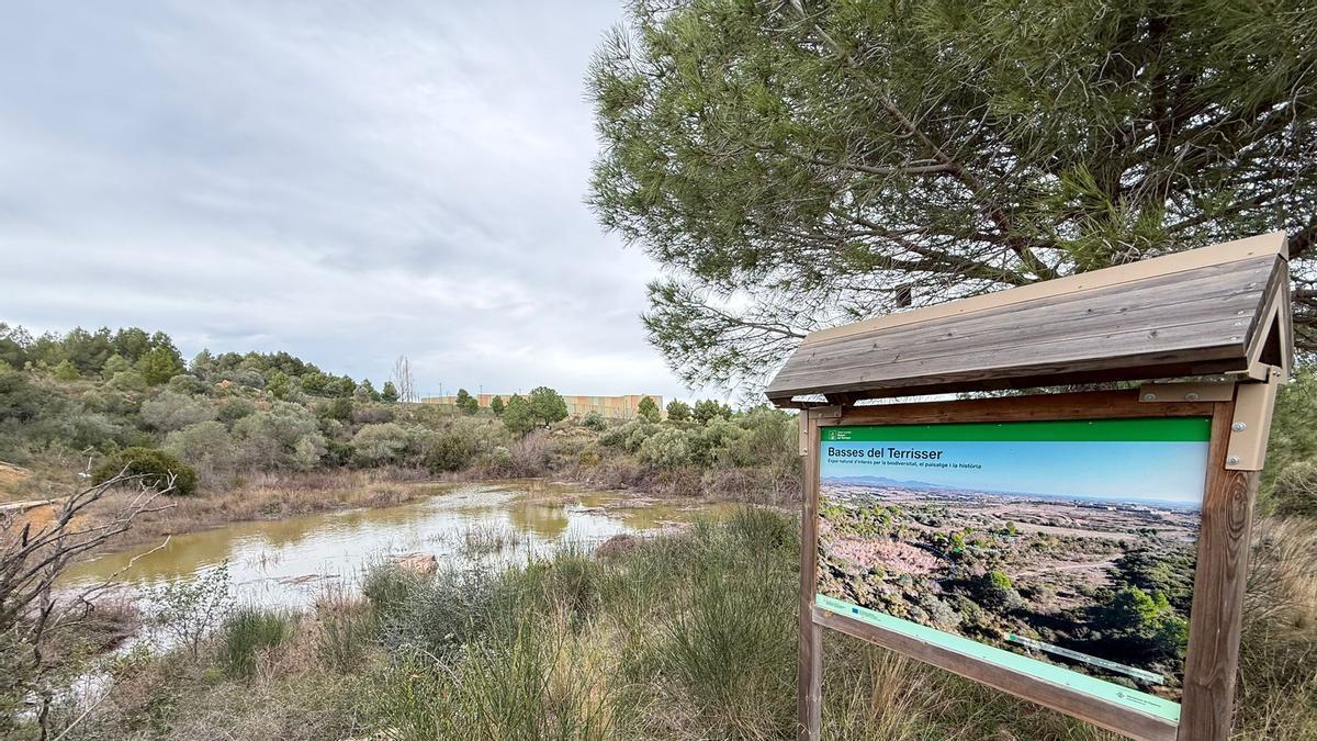 EN IMATGES | Les Basses del Terrisser de Figueres, en plena forma després de les pluges