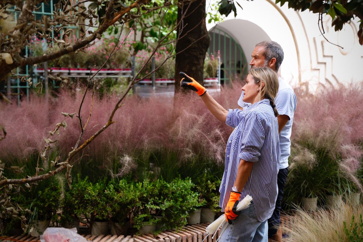 Comienza el montaje de las instalaciones de Flora 2025