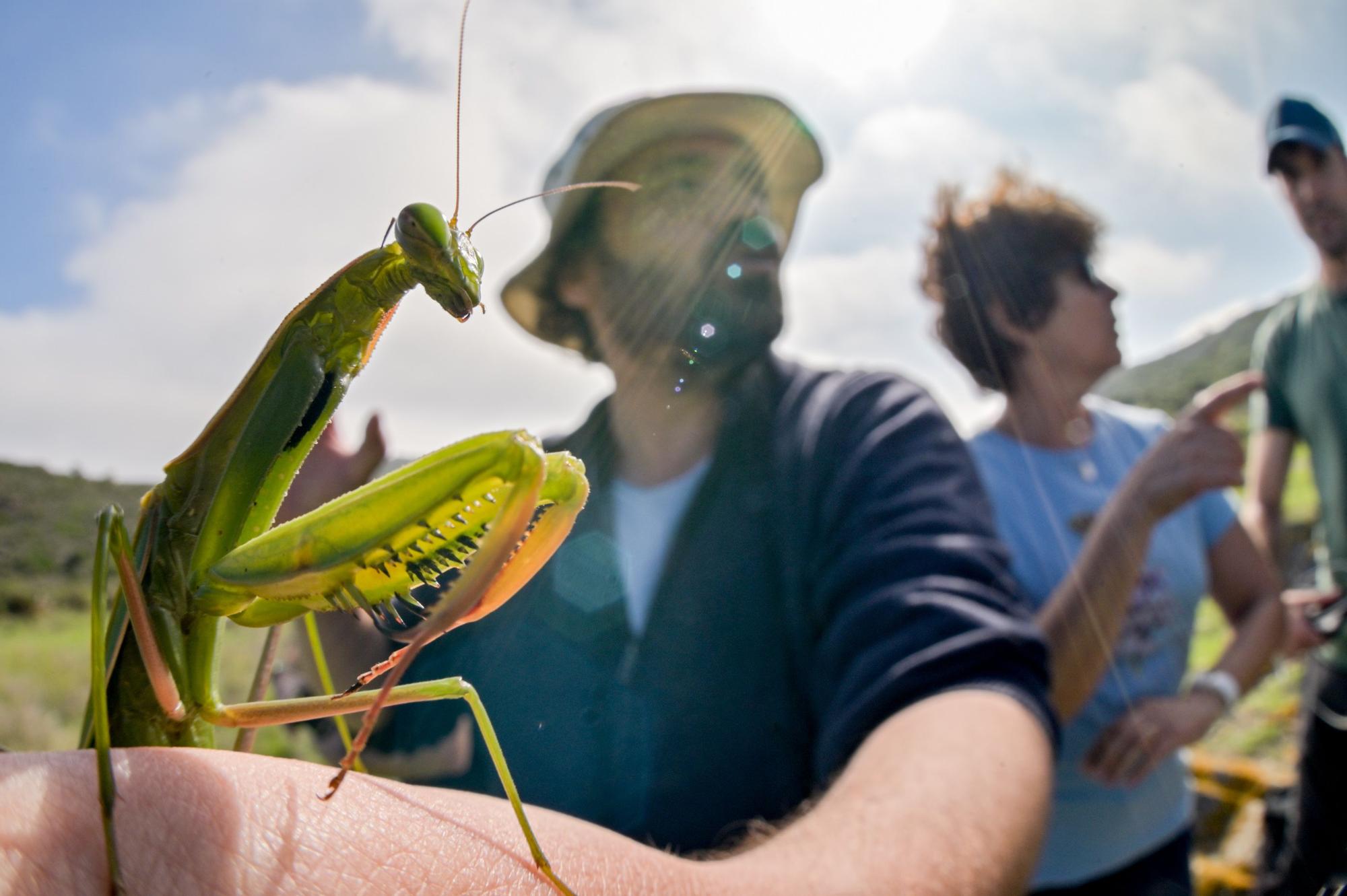 Primer Bioblitz al Parc Natural del Cap de Creus