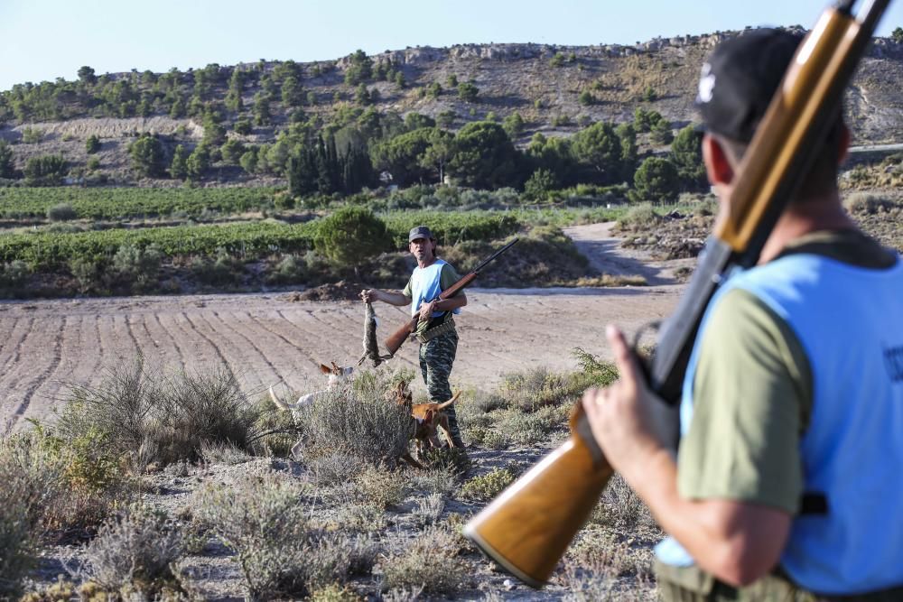 Diez mil cazadores inician la temporada de caza del conejo