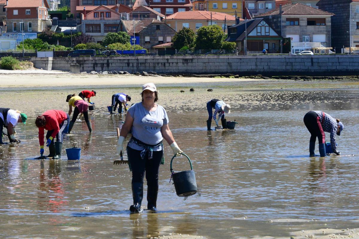 Mariscadoras esta semana en la playa de A Xunqueira.