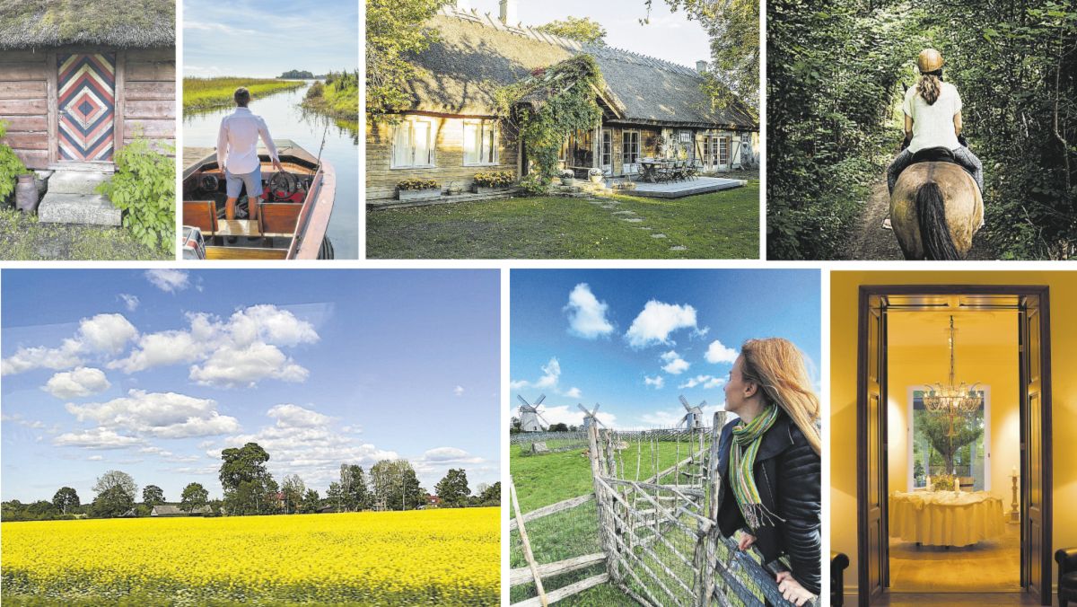 Paisajes encantadores. El viajero se encuentra en las islas de Muhu y Saaremaa con múltiples escenas campestres que remiten a tiempos pasados.