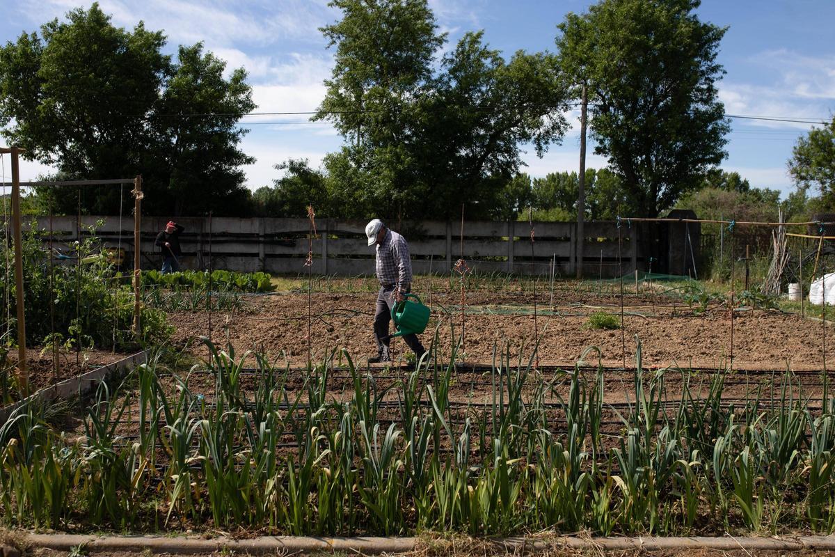 GALERÍA | Huertos municipales en Zamora: Creando comunidad entre tomates y cebollas
