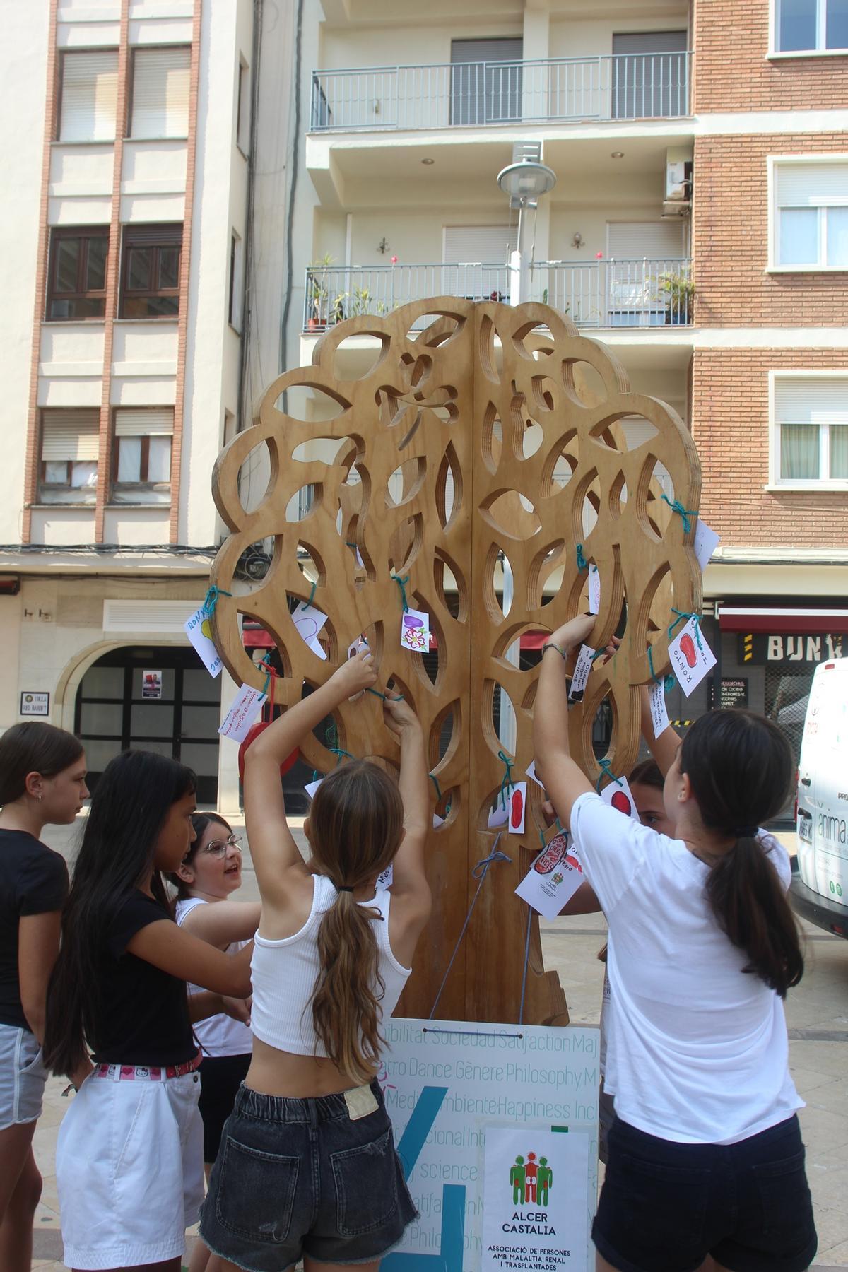 Galería: Jornadas de Alcer Castalia.