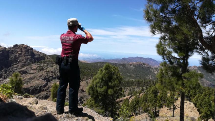 Agente de Medio Ambiente del Cabildo de Gran Canaria en tareas de vigilancia.