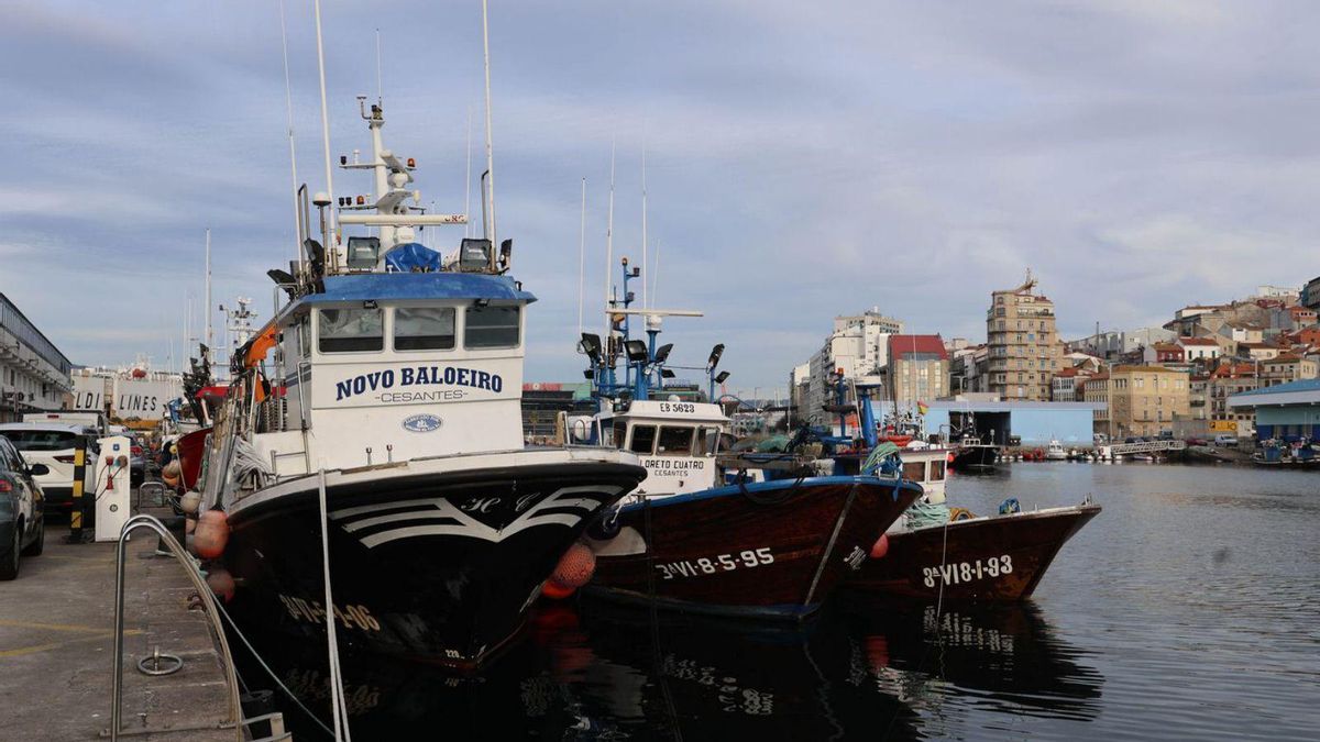 Barcos de la flota de cerco de la ría de Vigo amarrados en O Berbés. | Alba Villar