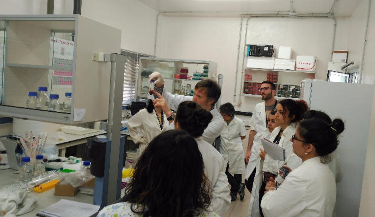 Europa ensaya en la oveja canaria de pelo la primera vacuna contra parásitos