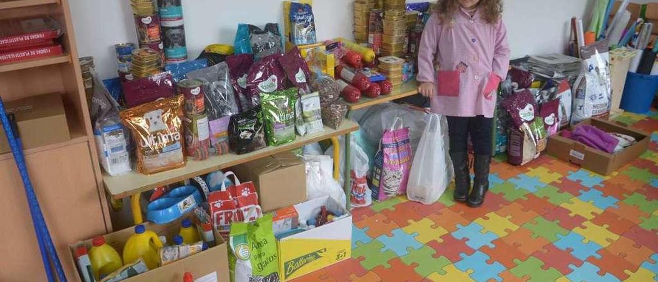 Material y alimentos recogidos durante el mercadillo solidario celebrado en el CEIP Torre-Illa. // Noé Parga