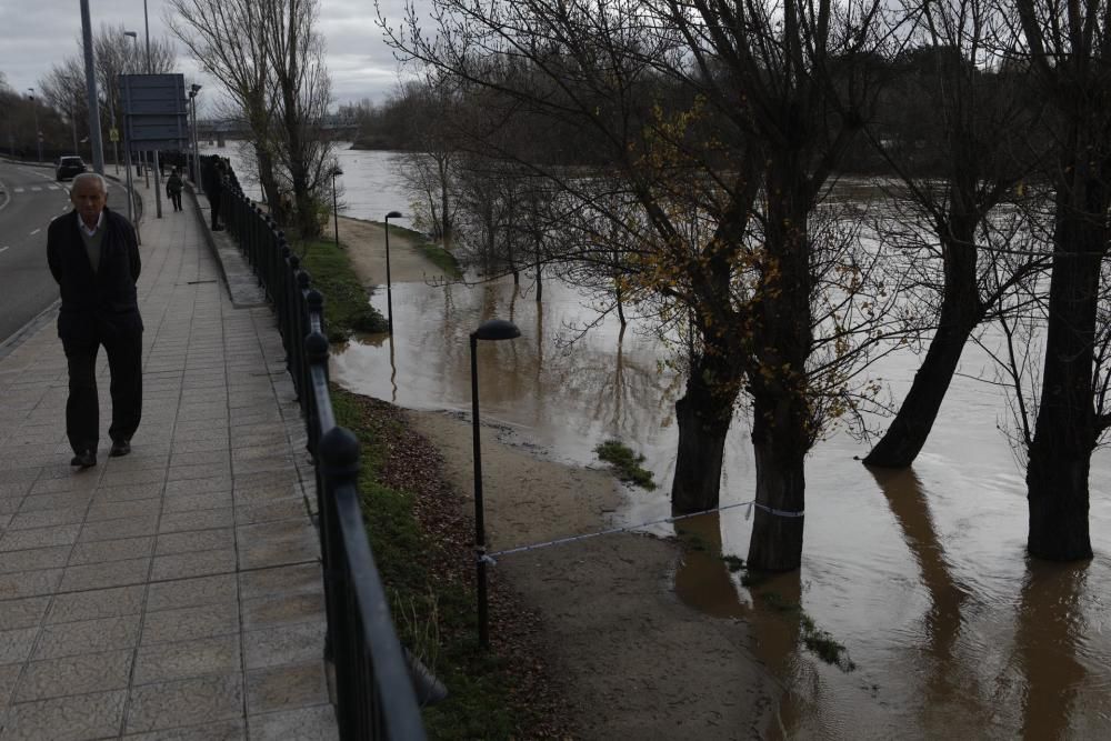 Crecida del río Duero en Zamora capital.