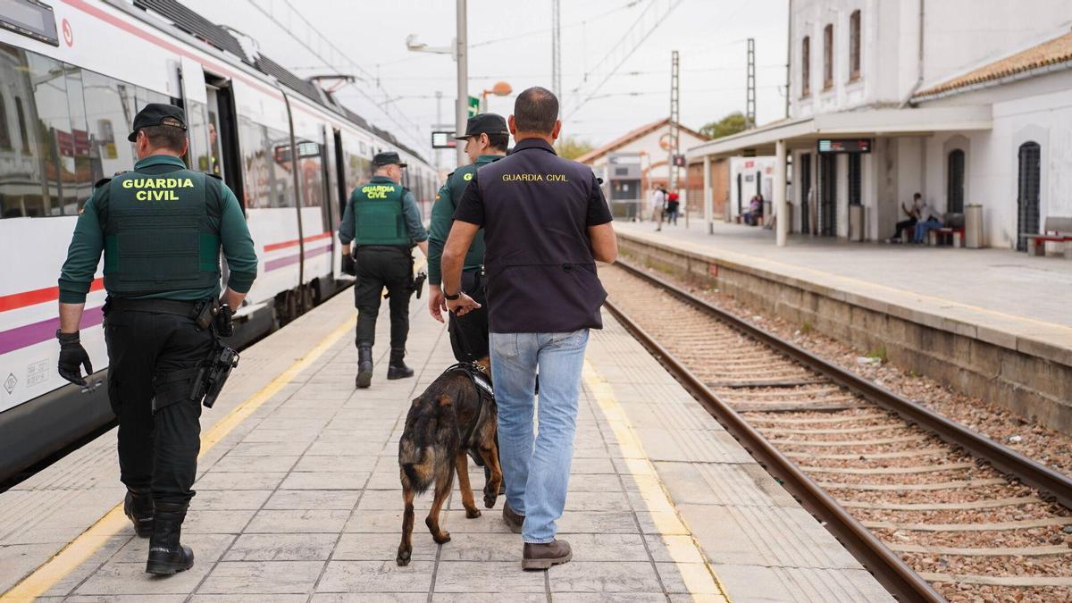 VÍDEO | Dispositivo de la Guardia Civil en el Cercanías en la estación de Brenes.