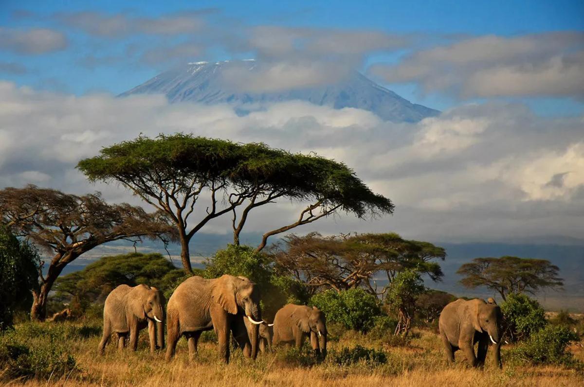Kenia.