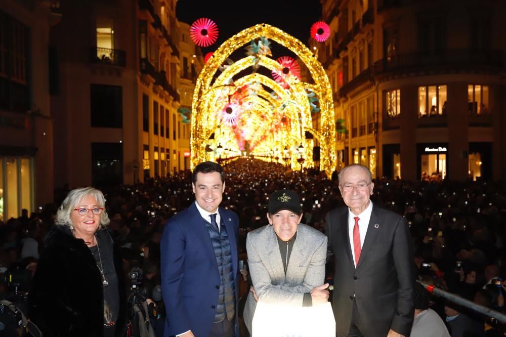 Antonio Banderas enciende el 'bosque' de luces de Larios