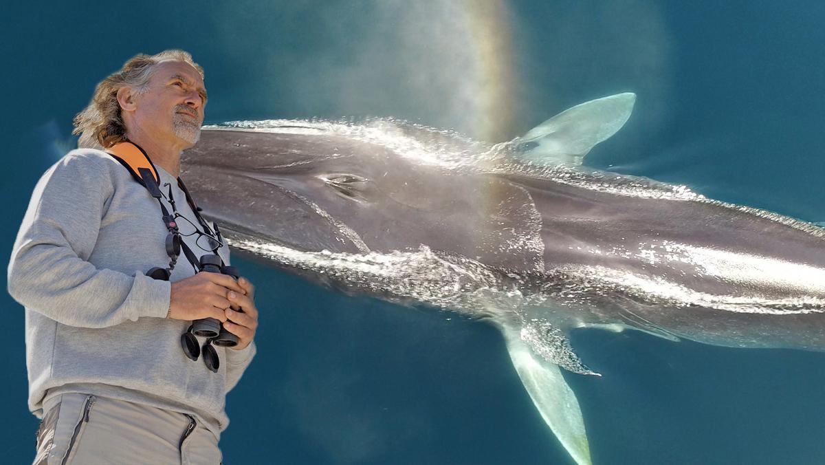 Un día entre ballenas en las costas de Barcelona.