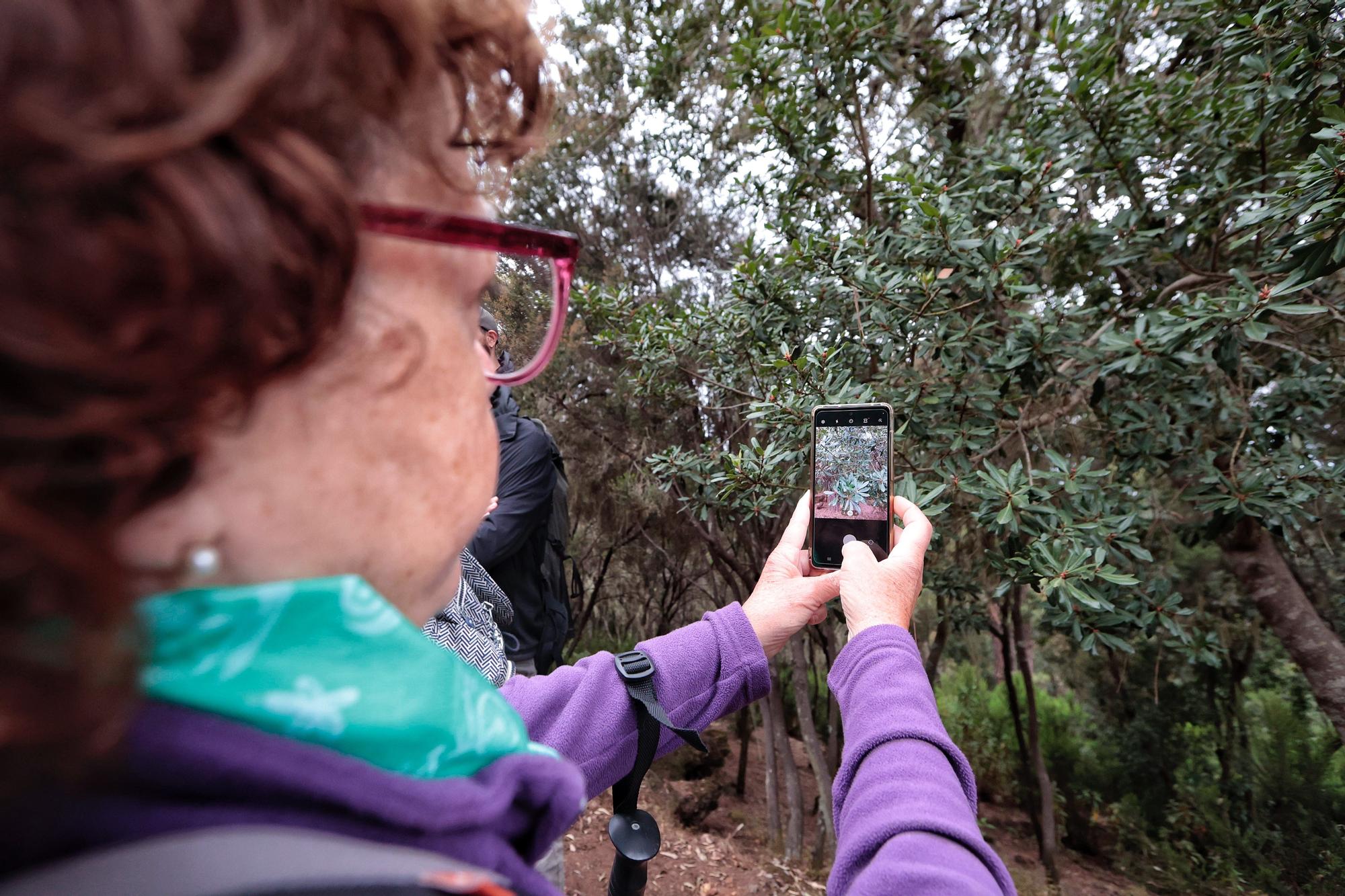 Tercera edición del Biomaratón de Flora Española, en el Parque Recreativo La Caldera, La Orotava