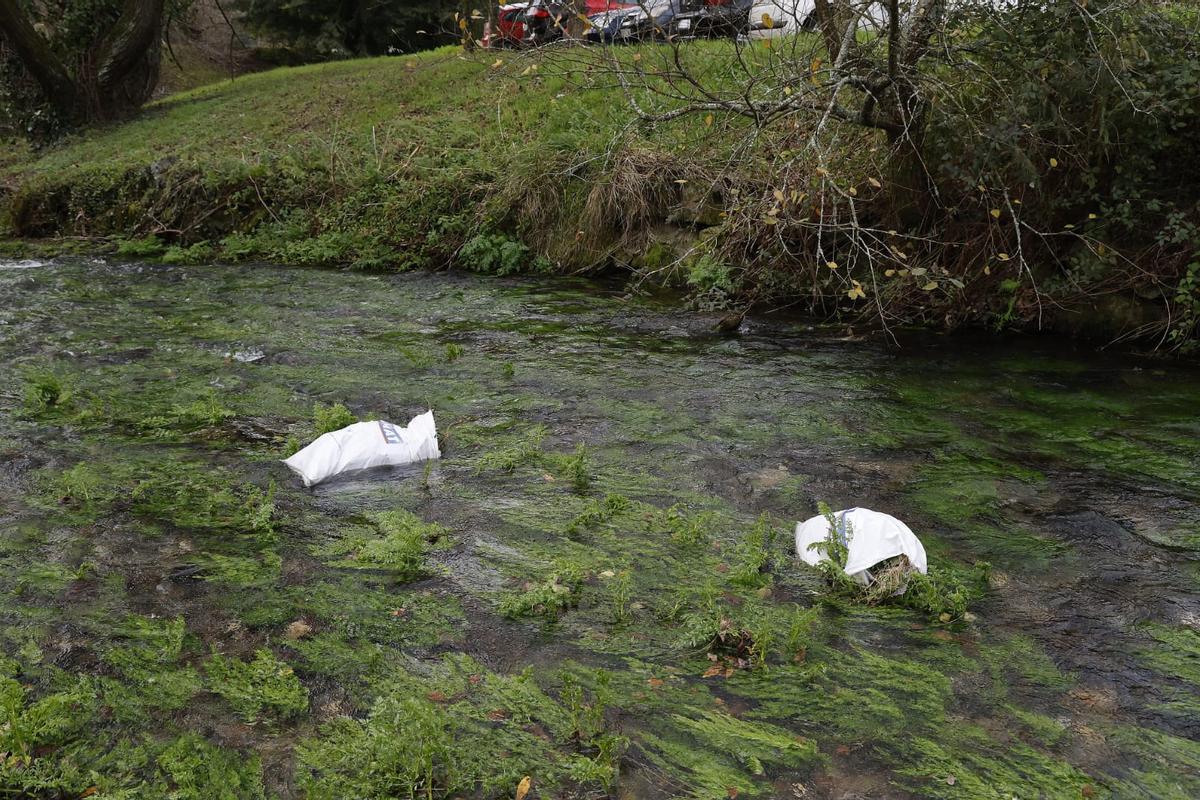 Aparecen varias bolsas de escombros en el río Sarela a su paso por Galeras