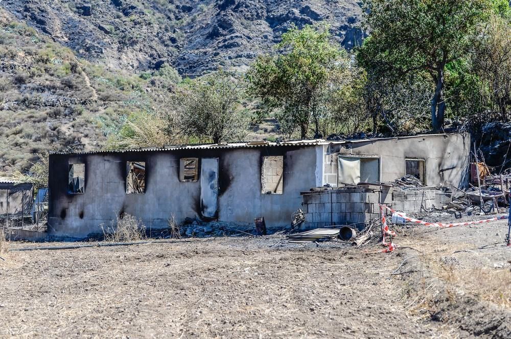 Tejeda tras el incendio