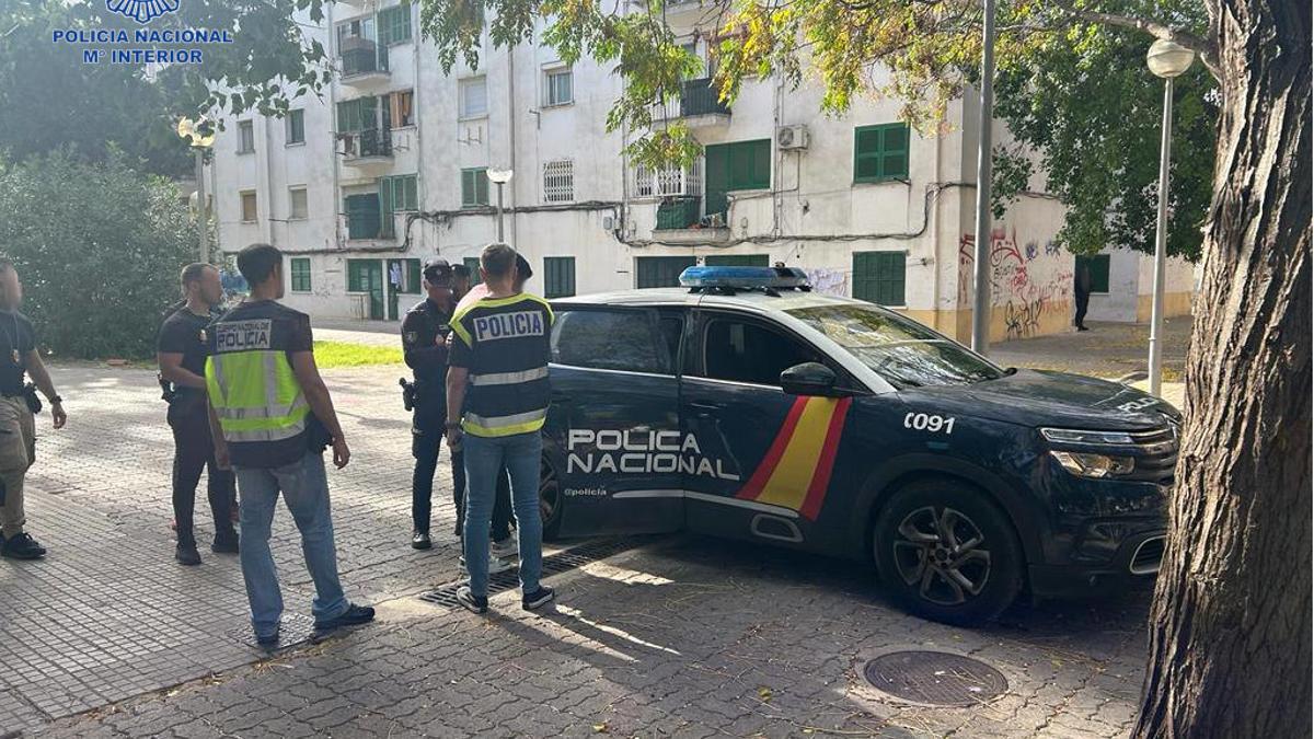 Agentes de la Policía Naciona, en Son Gotleu.