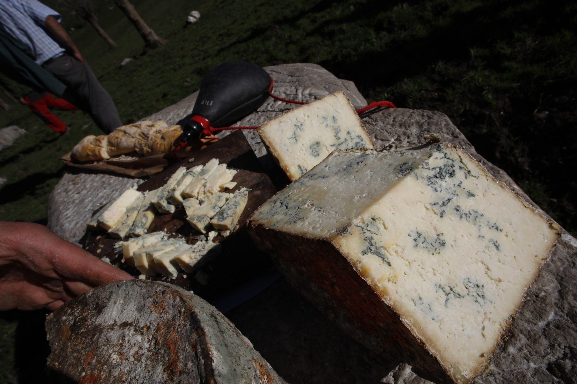 Así se elabora el gamonéu del Puertu: de la cueva a la mesa.