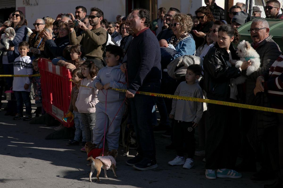 Así ha sido la celebración de San Antón en Cartagena
