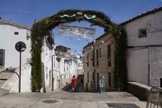 Más de 5.000 flores esperan a la Montaña en la calle Caleros de Cáceres