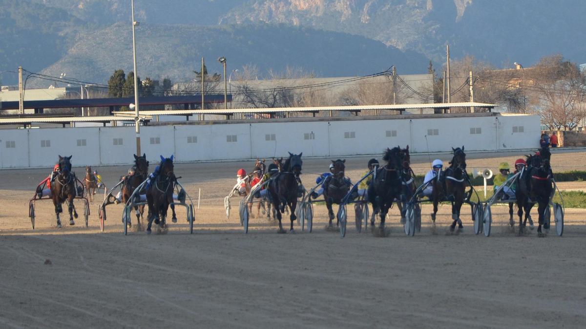 Llegada del ‘Premi Menhammar Stuteri’, que finalizó con la victoria de Kasta Maker SB, con Toni Roca por delante de Kristiano Gio y Karambola VX.