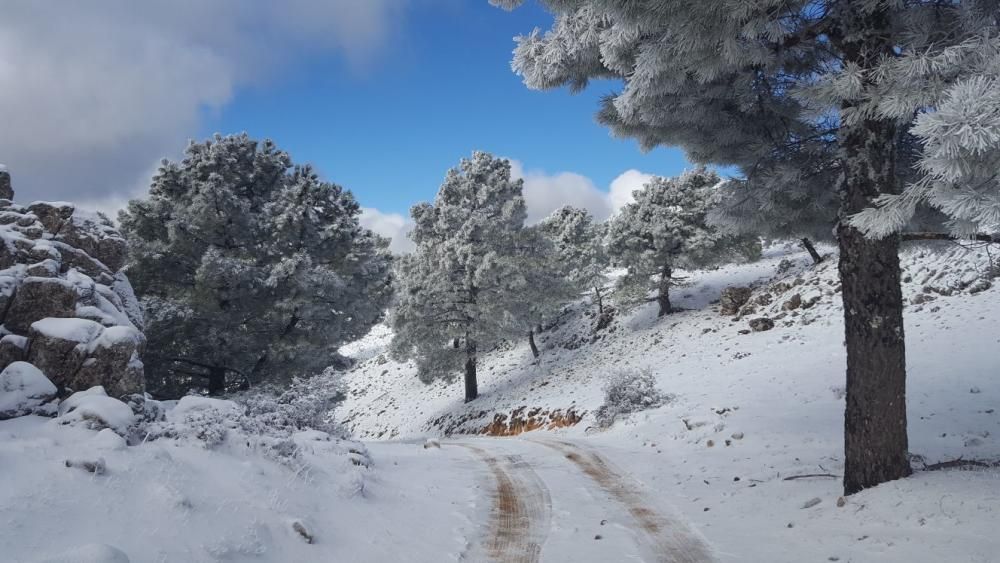 Nieve en Calar de la Santa, Moratalla