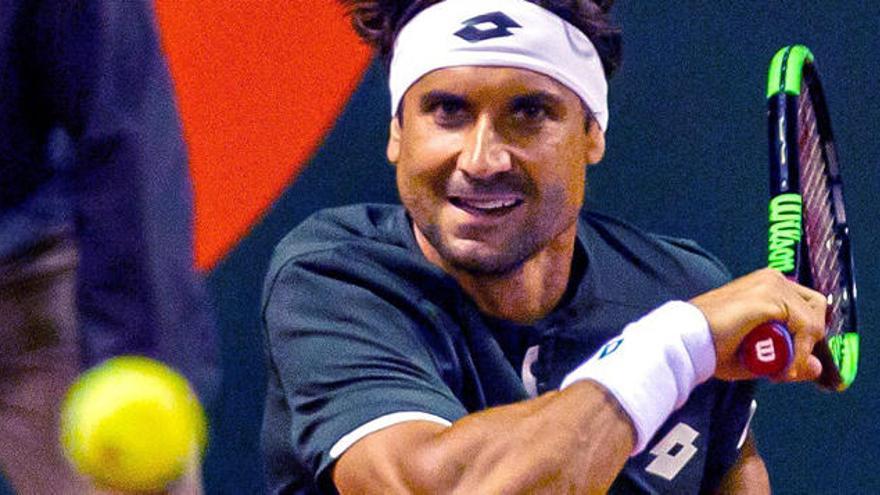 David Ferrer conquista un nuevo título