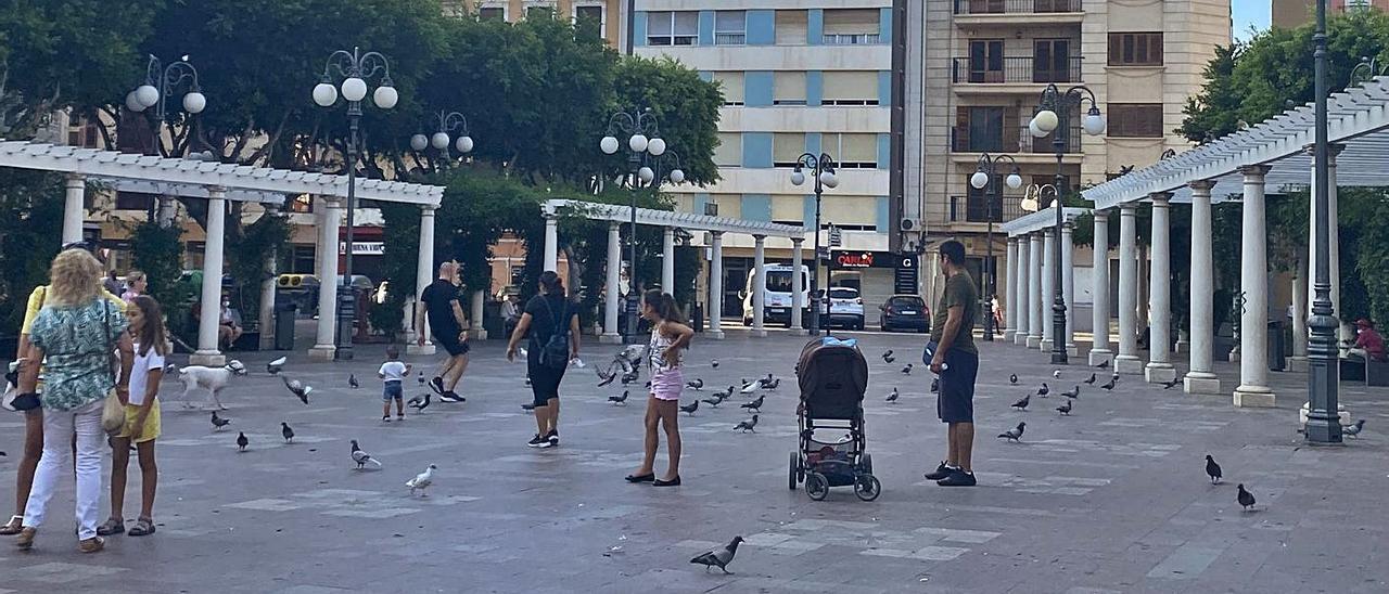 Decenas de palomas pasean por el centro de la plaza Mayor, esta semana. | EMMA SANCHIS