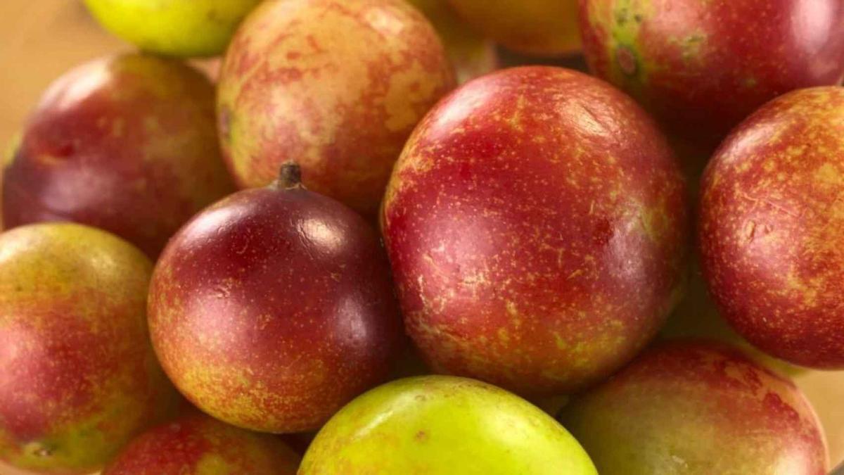 Estos son los beneficios del camu camu