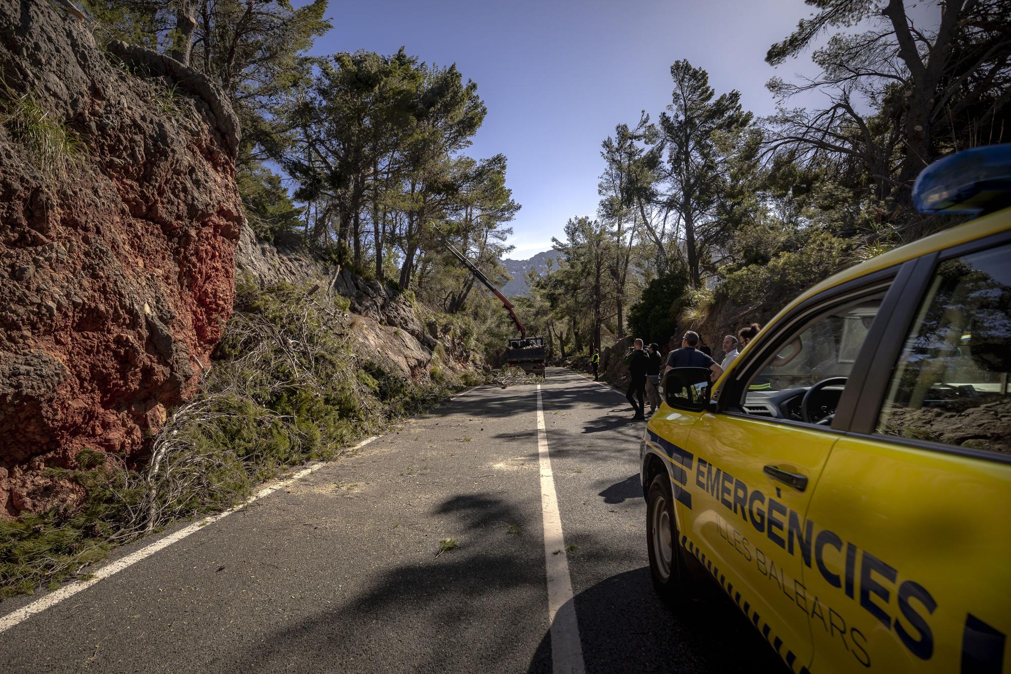 Schönheit und Verwüstung: Die Serra de Tramuntana nach dem Sturmtief Juliette