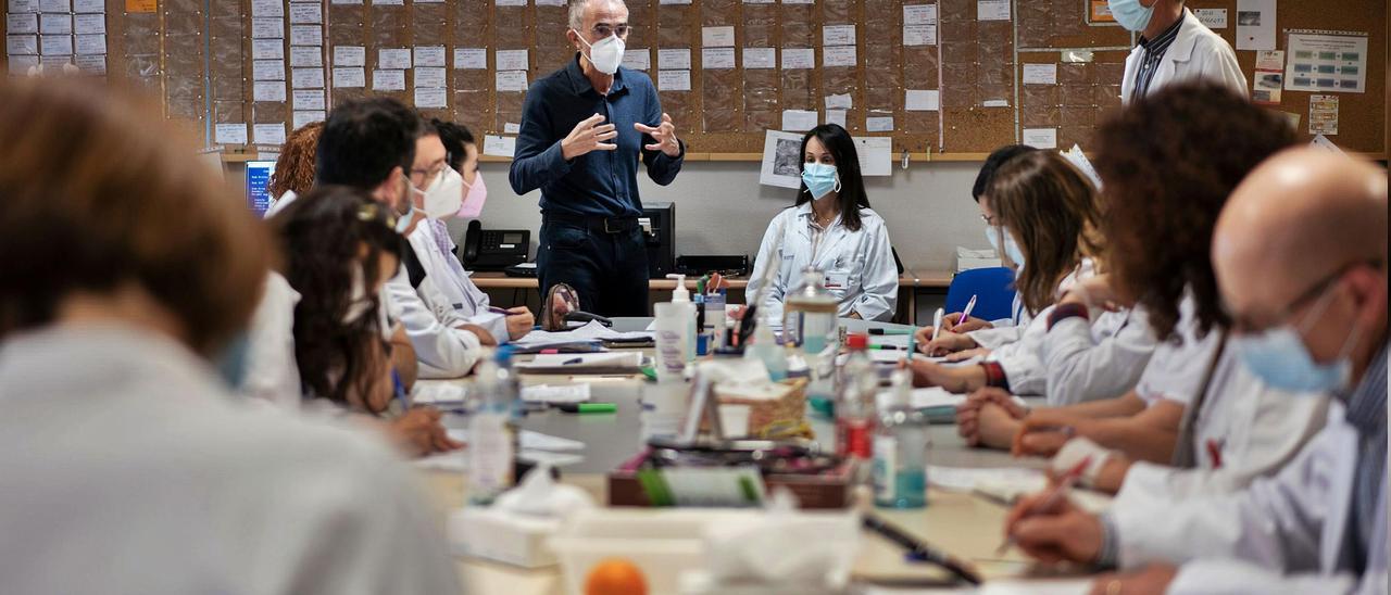 El equipo de la unidad de paliativos del Lluis Alcanyís, en plena reunión sobre la situación de sus pacientes.