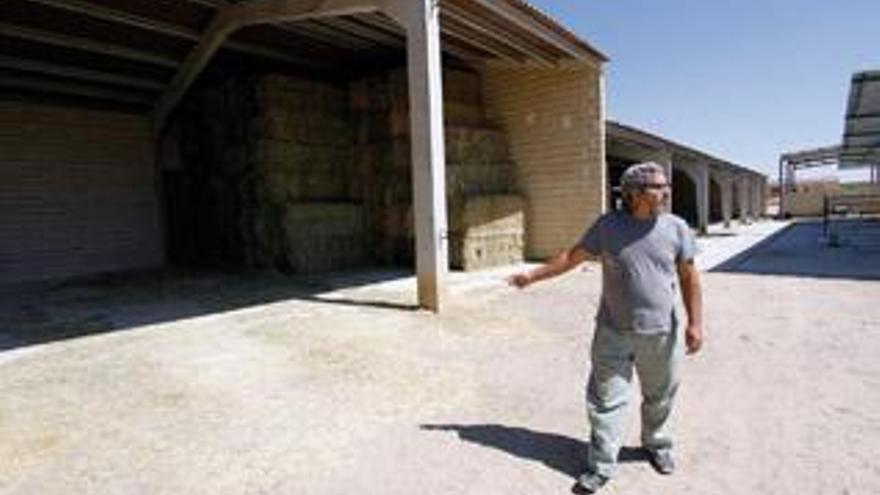 Eloy Vaquero, capataz de la finca de La Aldehuela de la Diputación, muestra la hierba recogida y empacada en la nueva finca de Madridanos.