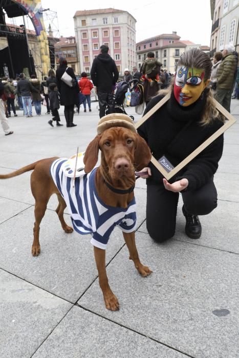 Mascotas disfrazas en Avilés