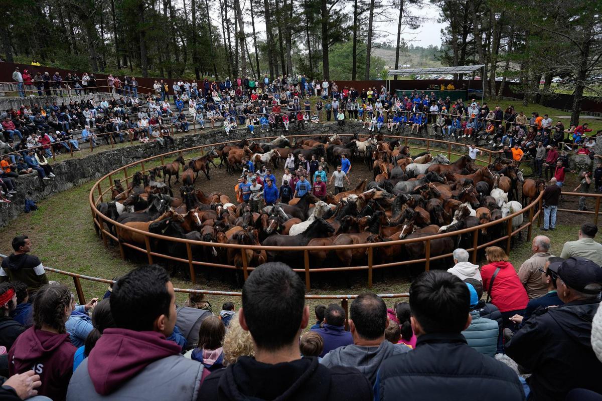 Decenas de espectadores contemplaron el trabajo de los aloitadores en el curro de Amil.