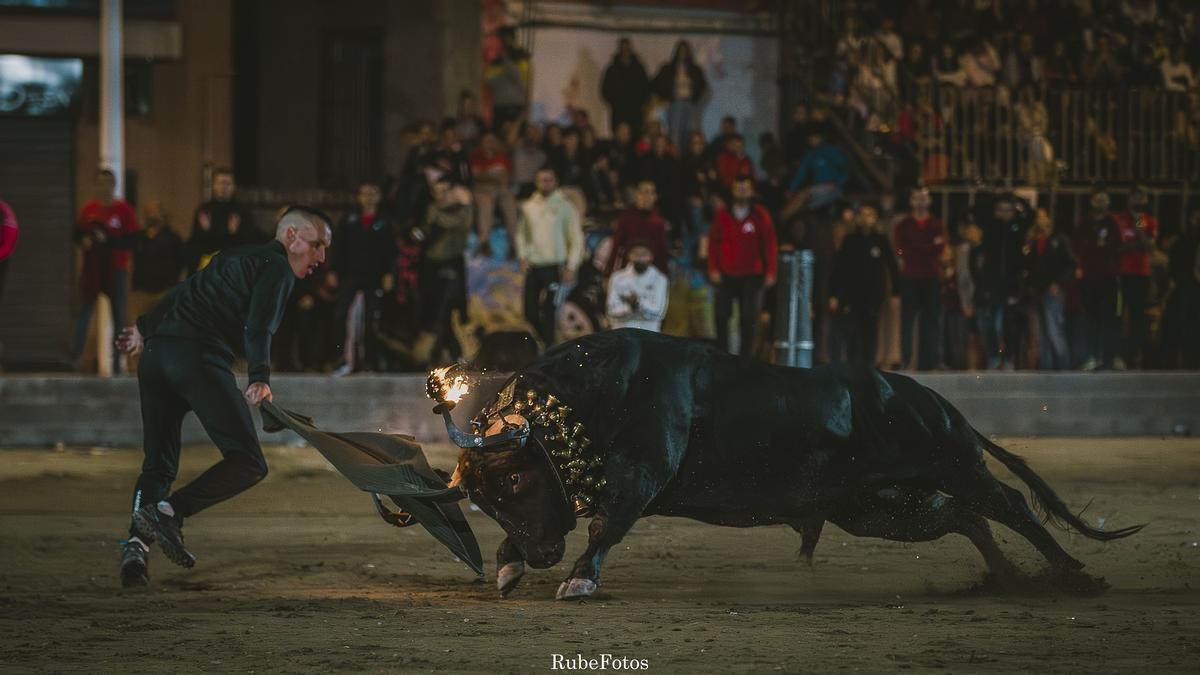 La acometividad de 'Vigilante' tras el cite de la chaqueta: embiste con todo.