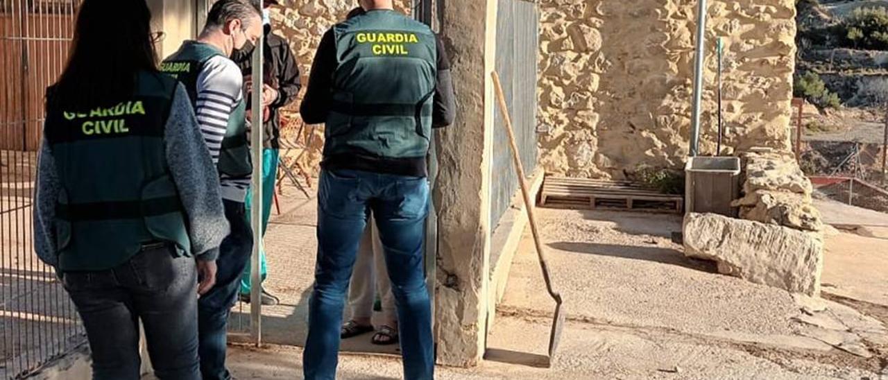 La Guardia Civil en la finca donde detuvo a la pareja.