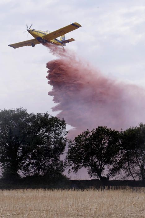 Incendi entre Cruïlles i Monells