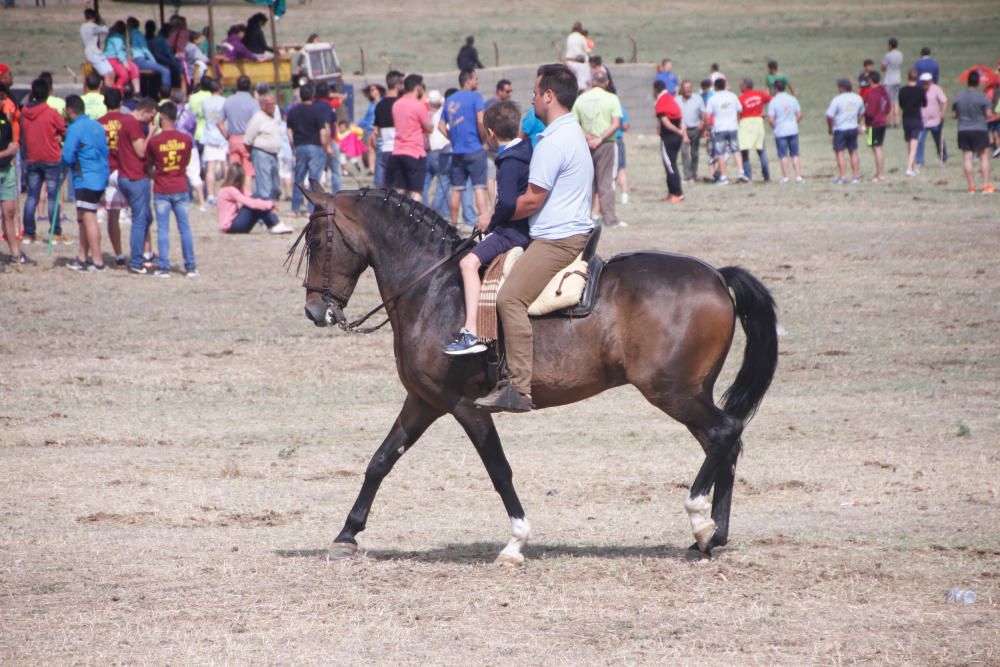 Espante infantil de Fuentesaúco